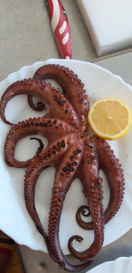 Hotel Restorant Genti Peshkatari Orikum Esterno foto